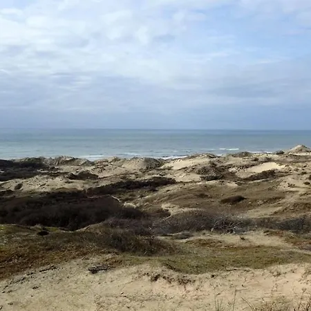 « Les Oyats » A 400 M De La Сasa de vacaciones