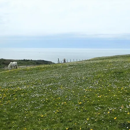 Сasa de vacaciones « Les Oyats » A 400 M De La *