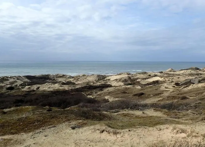 Les Oyats   à 400 M De La Hébergement de vacances