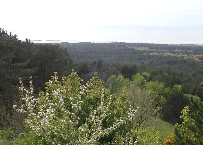 Les Oyats   à 400 M De La Hébergement de vacances Équihen-Plage