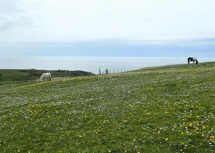Hébergement de vacances Les Oyats   à 400 M De La *