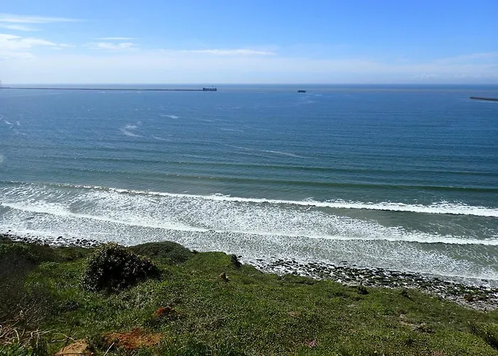 Les Oyats   à 400 M De La * Équihen-Plage