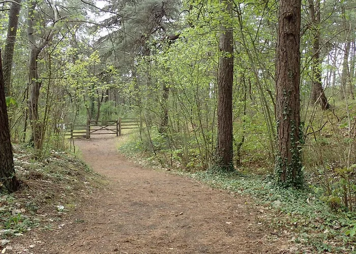 Les Oyats   à 400 M De La Hébergement de vacances